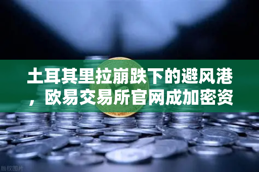 土耳其里拉崩跌下的避风港，欧易交易所官网成加密资产避险新前沿