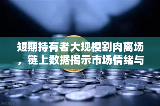 短期持有者大规模割肉离场，链上数据揭示市场情绪与欧易交易所的应对策略