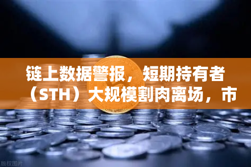 链上数据警报，短期持有者（STH）大规模割肉离场，市场底部信号是否已现？