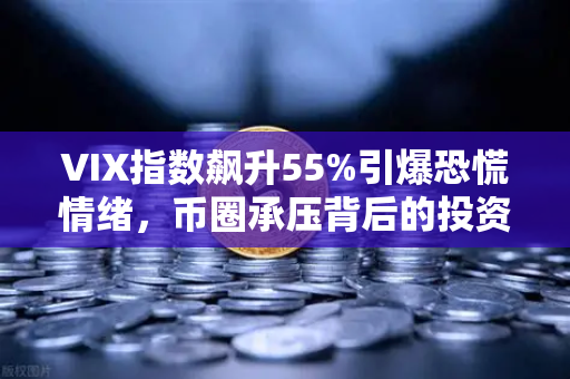 VIX指数飙升55%引爆恐慌情绪，币圈承压背后的投资逻辑解析