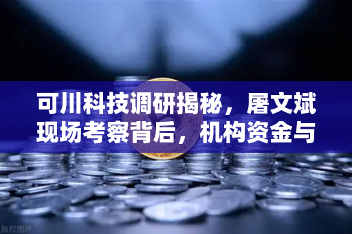 可川科技调研揭秘，屠文斌现场考察背后，机构资金与欧易交易所的隐秘联动