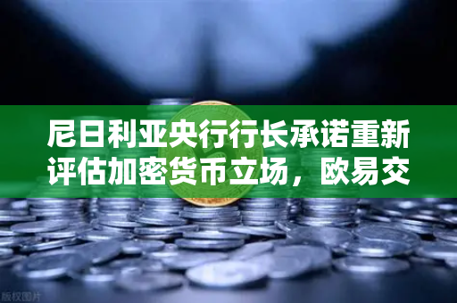 尼日利亚央行行长承诺重新评估加密货币立场，欧易交易所官网深度解读非洲加密市场变局