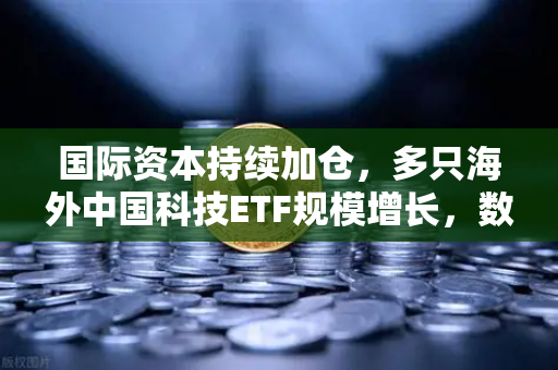 国际资本持续加仓，多只海外中国科技ETF规模增长，数字资产时代的新风向标