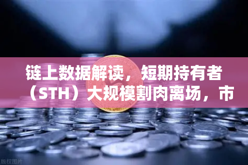 链上数据解读，短期持有者（STH）大规模割肉离场，市场见底信号已现？