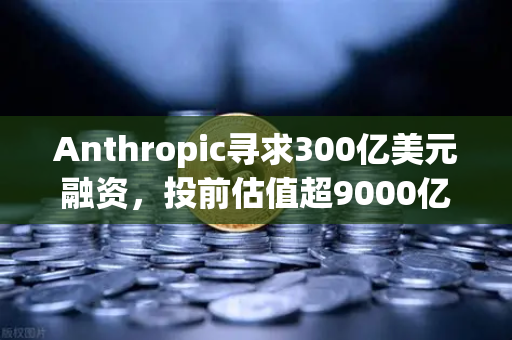 Anthropic寻求300亿美元融资，投前估值超9000亿—AI泡沫还是新起点？