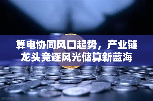 算电协同风口起势，产业链龙头竞逐风光储算新蓝海
