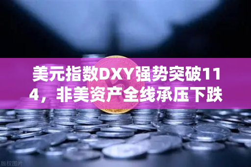 美元指数DXY强势突破114，非美资产全线承压下跌，全球金融市场震荡下的投资策略与欧易交易所机遇