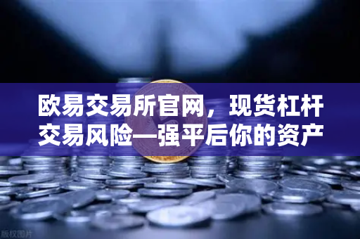 欧易交易所官网，现货杠杆交易风险—强平后你的资产会发生什么？