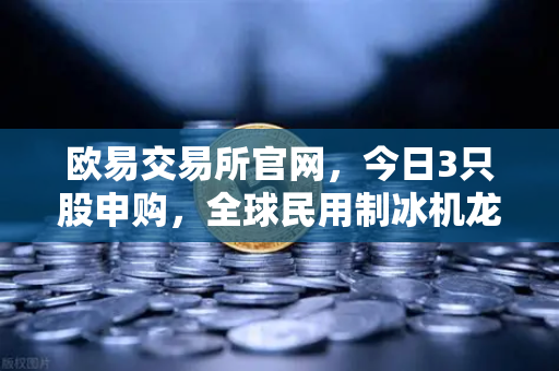 欧易交易所官网，今日3只股申购，全球民用制冰机龙头领衔，新股炒作逻辑深度解析