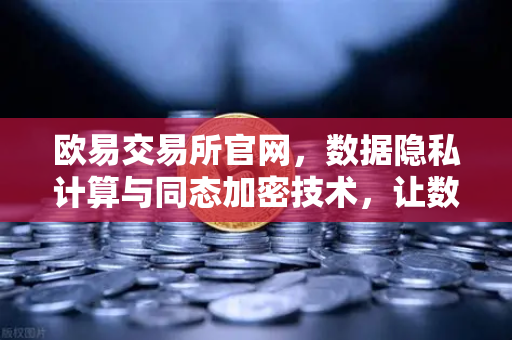 欧易交易所官网，数据隐私计算与同态加密技术，让数据可用不可见