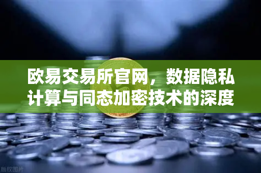 欧易交易所官网，数据隐私计算与同态加密技术的深度解析