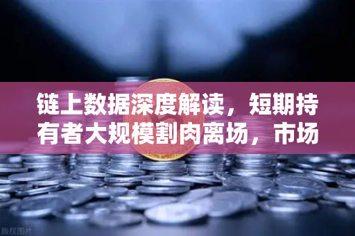 链上数据深度解读，短期持有者大规模割肉离场，市场底部信号是否已现？