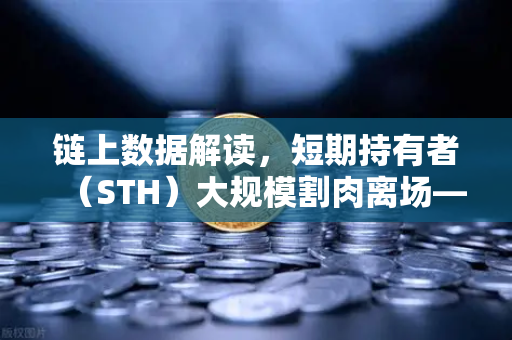 链上数据解读，短期持有者（STH）大规模割肉离场—市场底部的信号还是风暴的前奏？