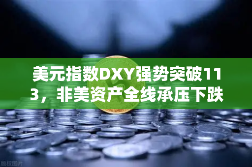 美元指数DXY强势突破113，非美资产全线承压下跌，欧易交易所官网深度解析