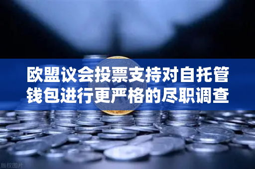 欧盟议会投票支持对自托管钱包进行更严格的尽职调查，加密货币监管新纪元