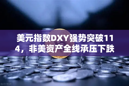 美元指数DXY强势突破114，非美资产全线承压下跌，全球金融市场动荡下的投资策略解析