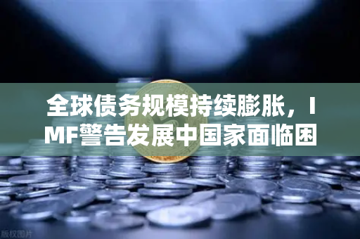 全球债务规模持续膨胀，IMF警告发展中国家面临困境，如何在危机中寻找出路？