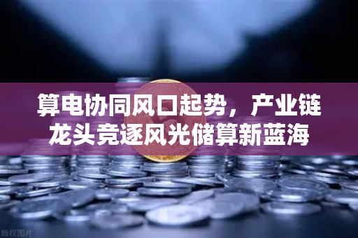 算电协同风口起势,产业链龙头竞逐风光储算新蓝海-第1张图片-欧易交易所 算电协同风口起势,产业链龙头竞逐风光储算新蓝海-第1张图片-欧易交易所