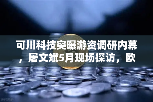 可川科技突曝游资调研内幕，屠文斌5月现场探访，欧易交易所官网揭秘资金新动向