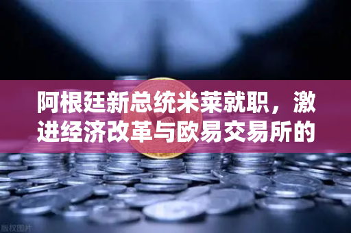 阿根廷新总统米莱就职，激进经济改革与欧易交易所的全球机遇-第1张图片-欧易交易所