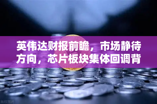 英伟达财报前瞻，市场静待方向，芯片板块集体回调背后的真相