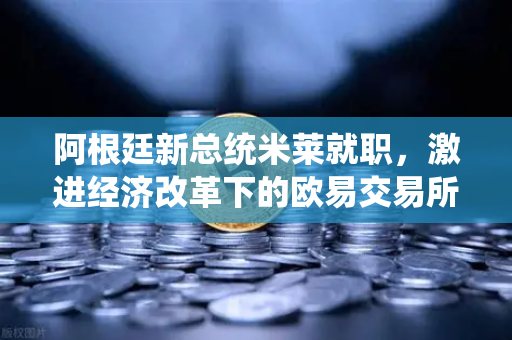 阿根廷新总统米莱就职，激进经济改革下的欧易交易所官网投资新机遇