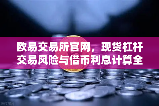 欧易交易所官网，现货杠杆交易风险与借币利息计算全解析-第1张图片-欧易交易所