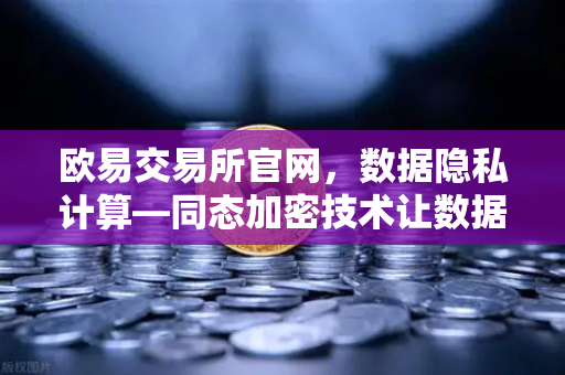 欧易交易所官网，数据隐私计算—同态加密技术让数据可用不可见-第1张图片-欧易交易所