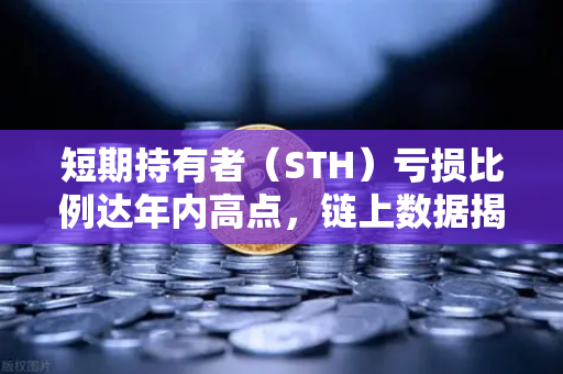 短期持有者（STH）亏损比例达年内高点，链上数据揭示的市场信号与投资策略-第1张图片-欧易交易所