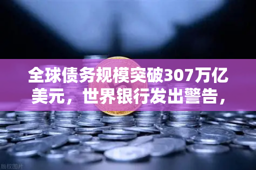 全球债务规模突破307万亿美元，世界银行发出警告，经济风险加剧，投资者何去何从？