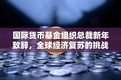 国际货币基金组织总裁新年致辞，全球经济复苏的挑战与机遇
