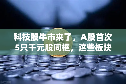 科技股牛市来了，A股首次5只千元股同框，这些板块涌现最多-第1张图片-欧易交易所