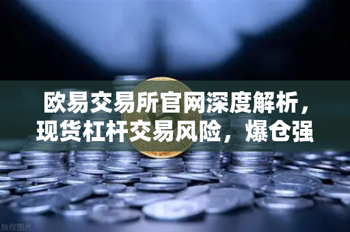 欧易交易所官网深度解析，现货杠杆交易风险，爆仓强平价格是如何计算的？