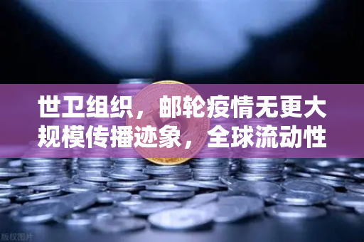 世卫组织，邮轮疫情无更大规模传播迹象，全球流动性危机解除—欧易交易所官网深度解析