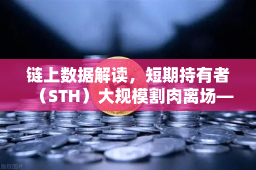 链上数据解读,短期持有者(STH)大规模割肉离场—市场底部信号还是恐慌蔓延?-第1张图片-欧易交易所 链上数据解读,短期持有者(STH)大规模割肉离场—市场底部信号还是恐慌蔓延?-第1张图片-欧易交易所