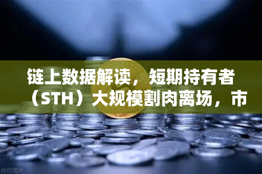 链上数据解读，短期持有者（STH）大规模割肉离场，市场底部信号是否已现？