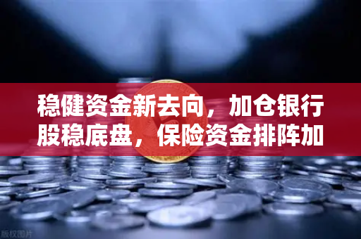 稳健资金新去向，加仓银行股稳底盘，保险资金排阵加密资产？