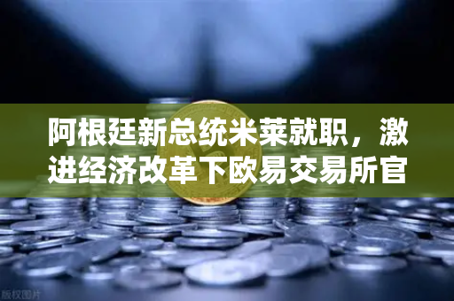 阿根廷新总统米莱就职，激进经济改革下欧易交易所官网成全球投资者新焦点