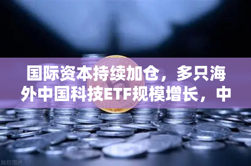 国际资本持续加仓，多只海外中国科技ETF规模增长，中概股与加密资产联动