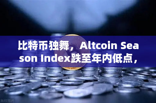 比特币独舞，Altcoin Season Index跌至年内低点，资金抱团现象揭示市场新逻辑