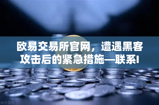 欧易交易所官网，遭遇黑客攻击后的紧急措施—联系Immunefi寻求白帽帮助