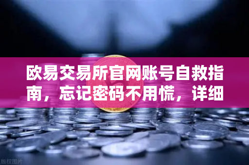 欧易交易所官网账号自救指南，忘记密码不用慌，详细流程演示