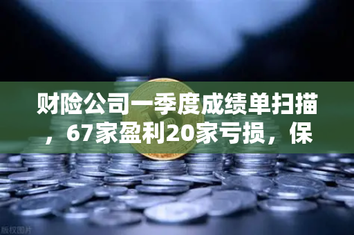 财险公司一季度成绩单扫描，67家盈利20家亏损，保险资金入市偏好与数字资产配置新趋势