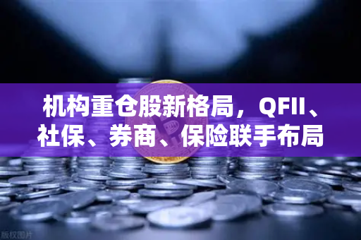 机构重仓股新格局，QFII、社保、券商、保险联手布局，涉币概念股异军突起