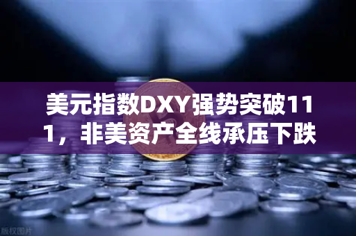 美元指数DXY强势突破111，非美资产全线承压下跌，全球金融市场震荡加剧