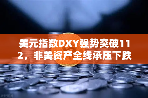 美元指数DXY强势突破112，非美资产全线承压下跌，全球金融市场迎来新一轮震荡