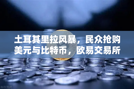 土耳其里拉风暴，民众抢购美元与比特币，欧易交易所成为避险新通道
