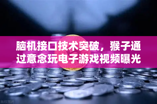 脑机接口技术突破,猴子通过意念玩电子游戏视频曝光-第1张图片-欧易交易所 脑机接口技术突破,猴子通过意念玩电子游戏视频曝光-第1张图片-欧易交易所
