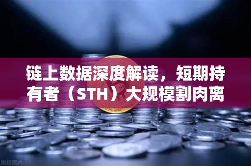链上数据深度解读，短期持有者（STH）大规模割肉离场，市场底在何方？