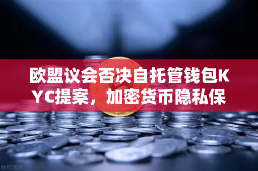 欧盟议会否决自托管钱包KYC提案，加密货币隐私保护迎来曙光